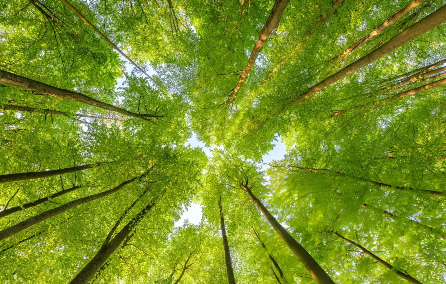 Sustainability Banner
